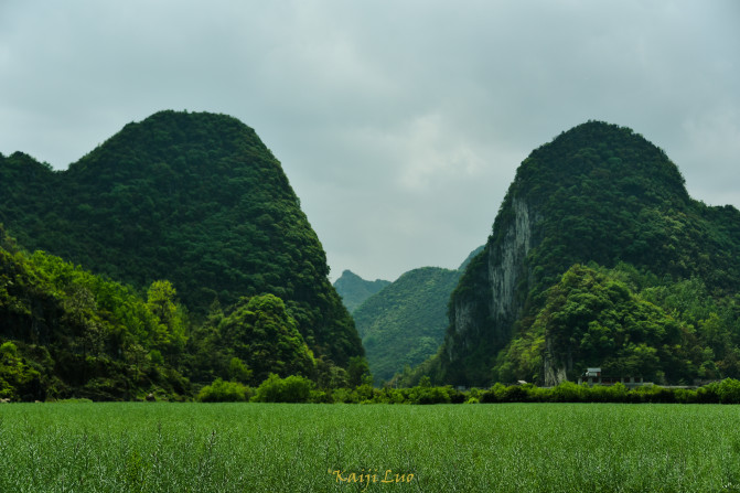 相约龙宫